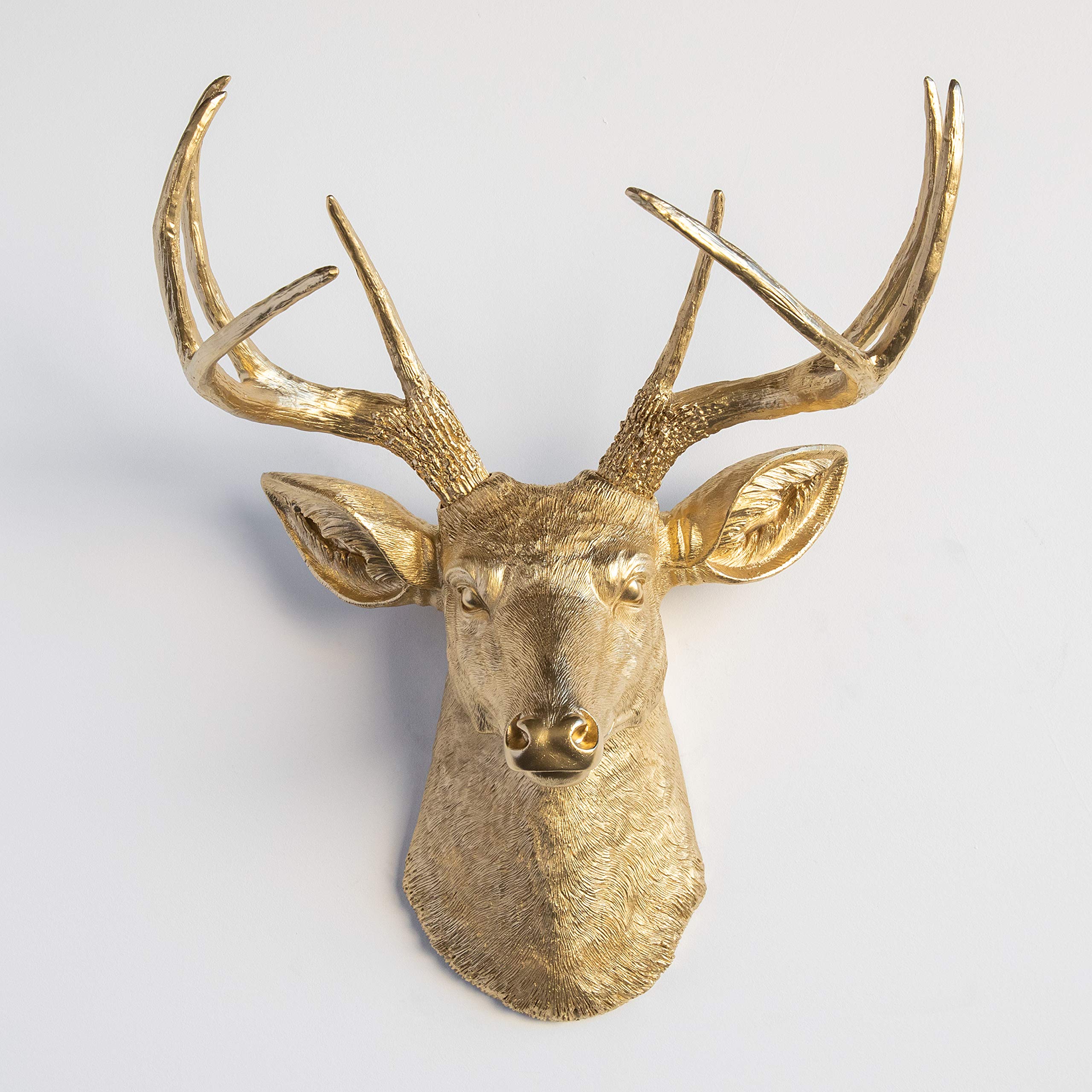 Amazon.com: Near and Deer 仿Taxidermy 鹿頭壁掛式,金色,D0808 : 居家